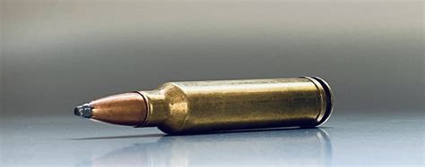 How To Choose The Right Bullet Weight While Reloading Manual