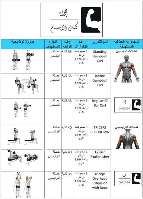 جدول تضخيم العضلات