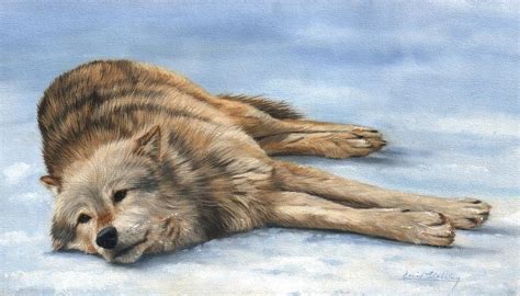 Grey Wolf Painting Painting By David Stribbling Fine Art America