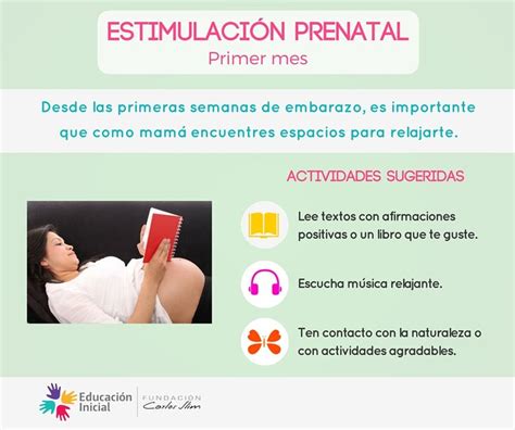Estimulación Prenatal Embarazo Estimulación Prenatal Prenatal