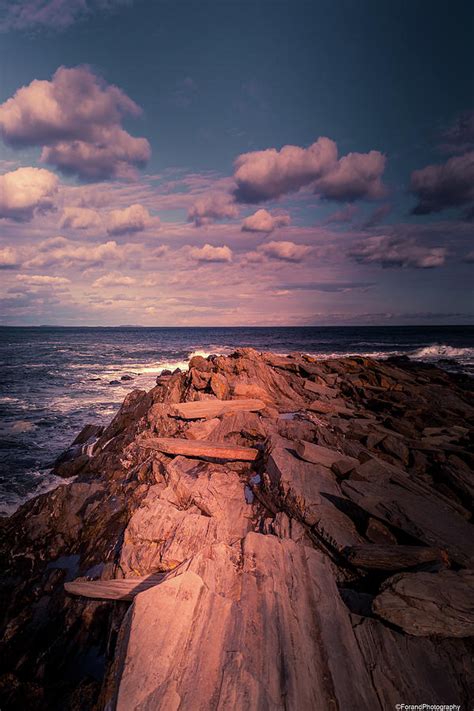 Perspective Maine Coastline Photograph By Debra Forand Fine Art America