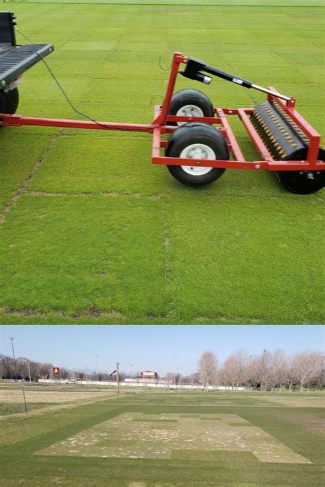 New Lowinputturf Blog Post Evaluating Fine Fescues For Golf Greens In