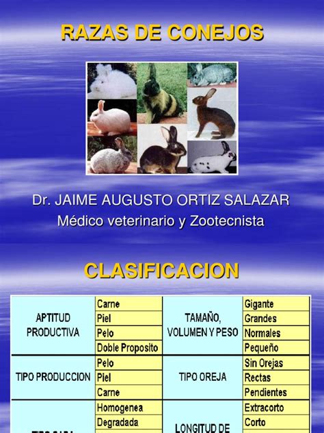 Raza De Conejos Pdf Zoología Naturaleza