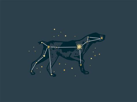 Canis Major Constellation By Adam Johnson On Dribbble
