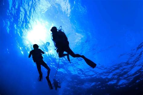 Scuba Diving The Dangers Of Quickie Courses