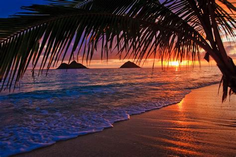 Sunset In Lanikai Beach In Oahu Hawaii Dotted Globe