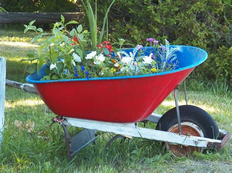 Six Tips To Build A Cheap Raised Garden Bed And Why You