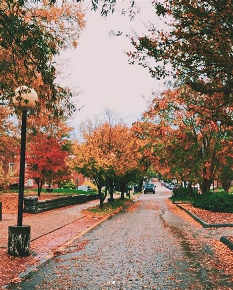 Fall At The University Of Tennessee At Chattanooga Univ Of Tennessee