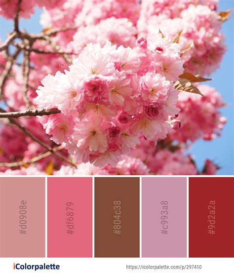 Color Palette ideas from 1804 Blossom Images | iColorpalette | Color palette pink, Color, Color ...