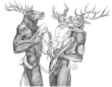 Rule 34 Anal Blotch Buck Cervine Deer Erection Furry Only Gay Male