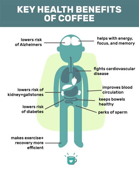 10 Health Benefits Of Coffee Scientifically Proven Pros Royalty