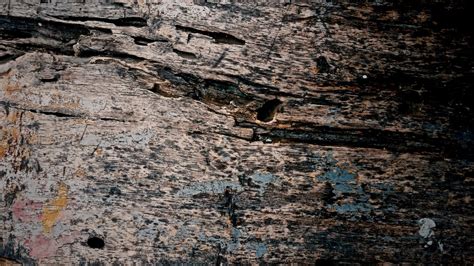Free Images Rock Wood Texture Wall Soil Terrain Material