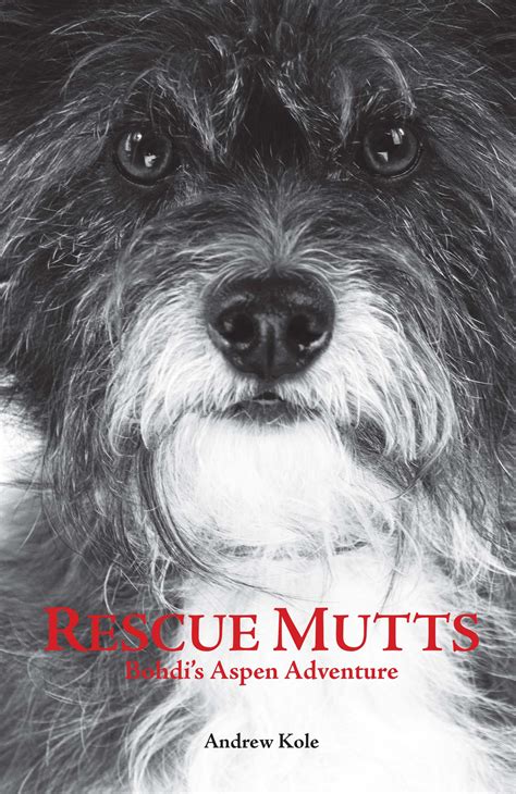 Rescue Mutts Bohdis Aspen Adventure Kids Bookbuzz
