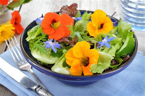 Flower Power Diese Blüten Kannst Du Essen Regenbogenkreis