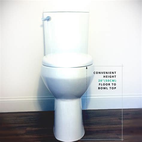 Toilets By Convenient Height Have Extra Tall Bowl Measured 19 20
