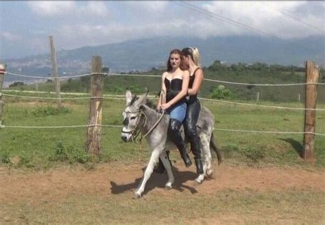 Pin By Helme Rayen On Donkey Woman Riding Horse Horse Wedding
