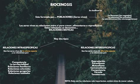 Biocenosis Qués Es Tipos Componentes Y Ejemplos Ovacen