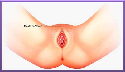 Abby Reivindica El Monte De Venus Orgasmatrix My Xxx Hot Girl