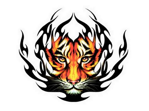 Free Tiger Eyes Cliparts Download Free Tiger Eyes Cliparts Png Images