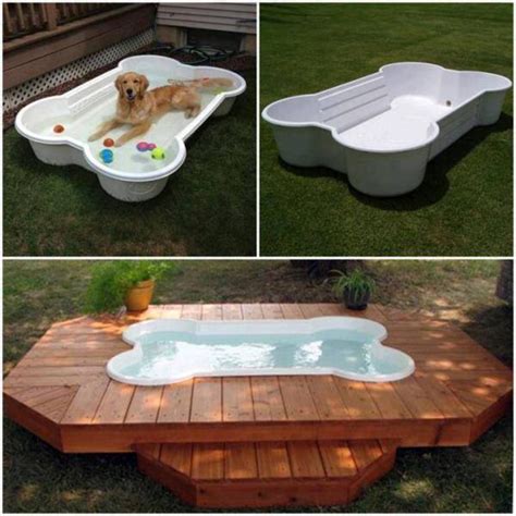 Amazing Backyard Dog Pool You Should Have