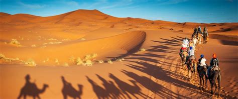 Desert Safari In Saudi Arabia Perfect Blend Of Adventure And Serenity