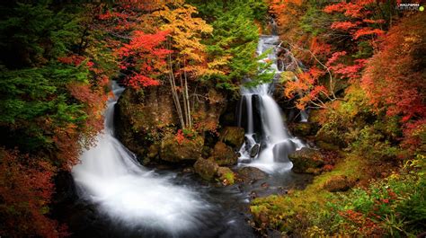 Ryuzu Japan Forest Waterfall Autumn For Phone