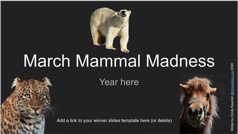 March Mammal Madness What Is This