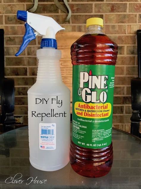 Home Remedy For Outdoor Fly Repellent Fly Repellant Fly Repellant