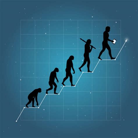 Human Evolution Illustrations Royalty Free Vector