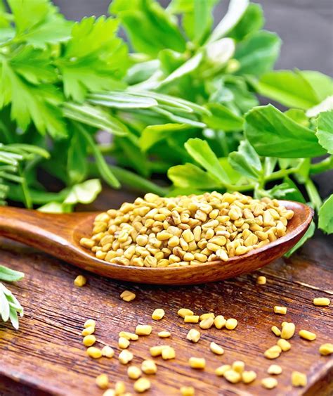 Top 10 Science Based Health Benefits Of Fenugreek Seeds Healthy Blog