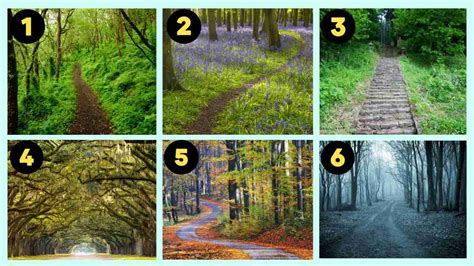 Personality Test The Forest Path You Choose Reveals Your Hidden