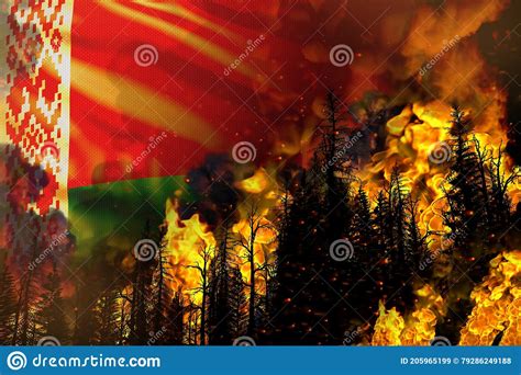Big Forest Fire Fight Concept Natural Disaster Infernal Fire In The