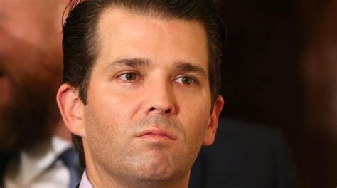lawyer for donald trump jr says new ny times report much ado about nothing fox news