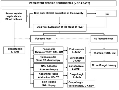 Diagnostic And Therapeutic Approach In Persistent Febrile Neutropenic