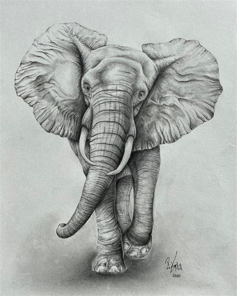 Elephant Pencil Drawing Elephant Wall Art Elephant Home Etsy Uk