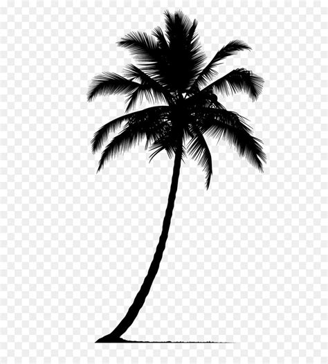 Arecaceae Silhouette Palm Tree Silhouette Png Download 512512