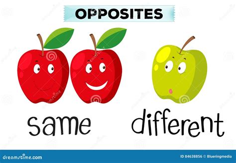 Opposite Words For Same And Different Stock Illustration Illustration