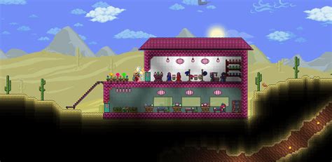 Stylist And Dye Trader Terraria