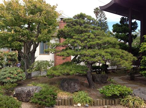 Pine Us Japanese Gardens