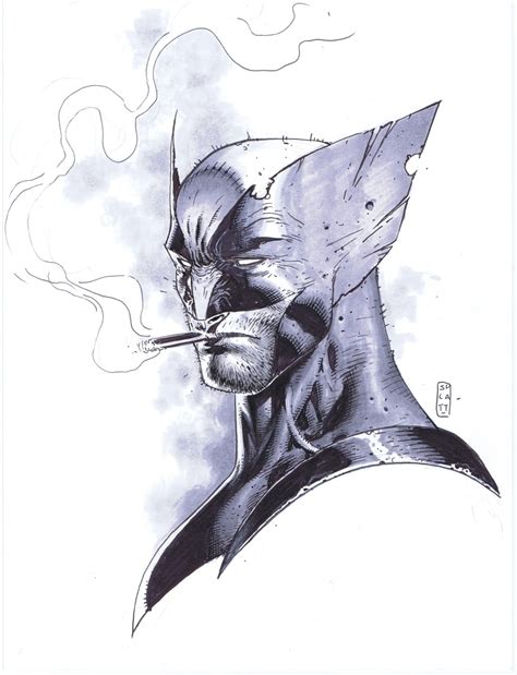 Wolverine By Stephen Platt In Malvin Vs The Wolverine Sketches And