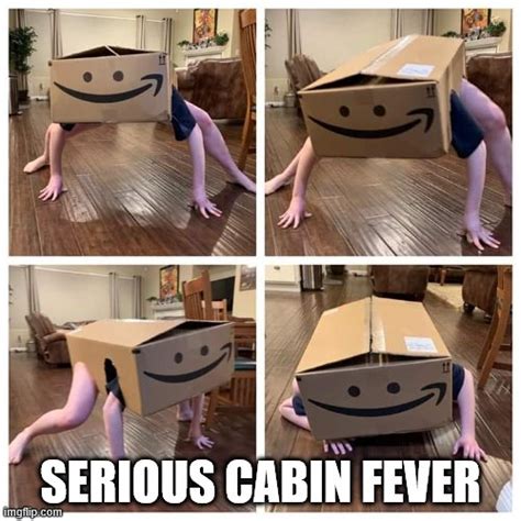 Cabin Fever Imgflip