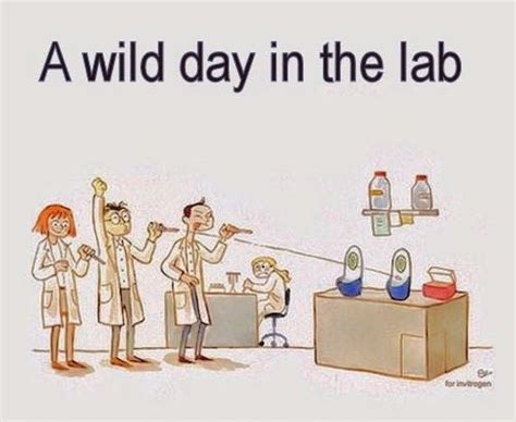 Medical Laboratory And Biomedical Science A Wild Day In The Lab In 2023 Lab Humor Laboratory