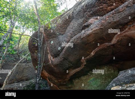 Naka Cave Giant Snake Scale Stone In The Phu Langka National Park