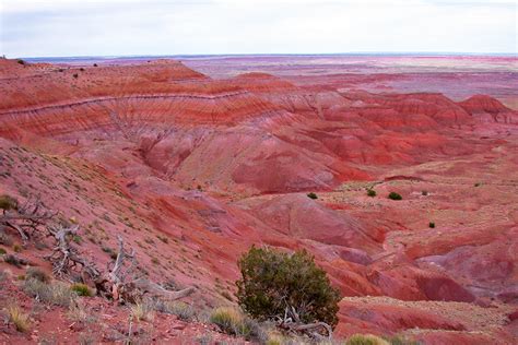 Geologic Formations Petrified Forest National Park Us National