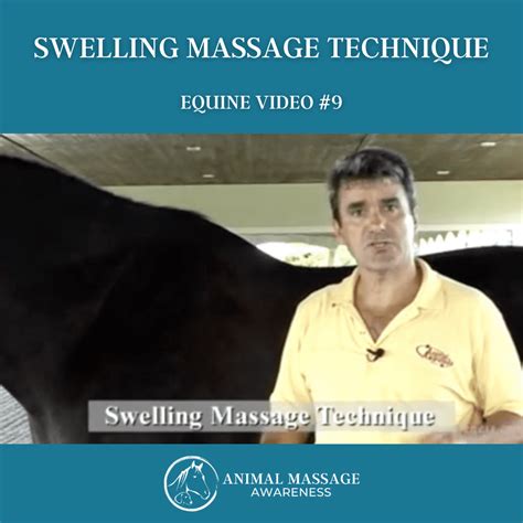Equine Video 9 The Swelling Technique Animal Massage Awareness