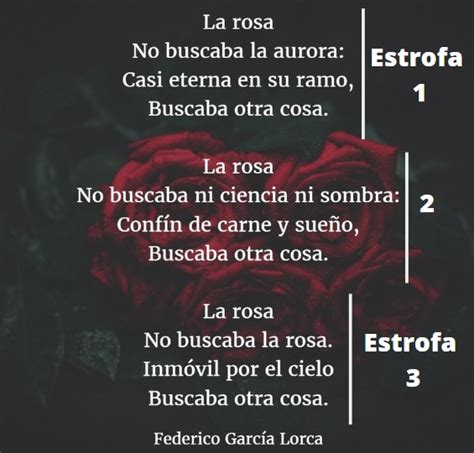 Poemas Cortos De 3 Estrofas Captions Lovers