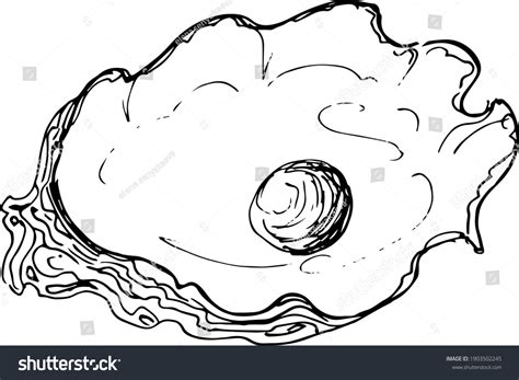 Sketch Oyster Pearl Hand Drawing Illustrationvector Stock Vector