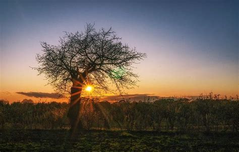 Cara Asyik Menikmati Sunrise Di Puncak Gunung Blog