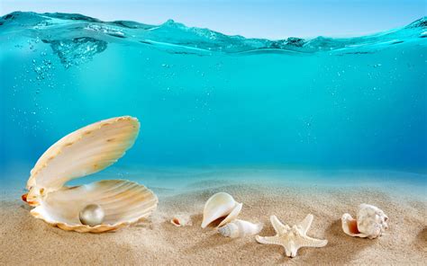 Download Pearl In Shell Underwater Wallpaper