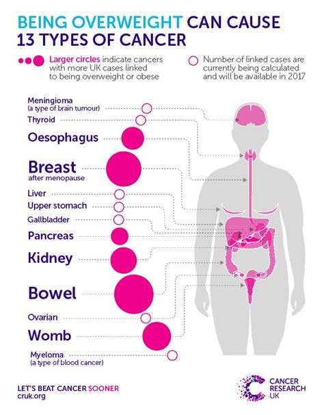 Pin By Michael A On General Health In 2021 Cancer Prevention Types